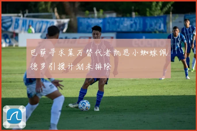 巴萨寻求莱万替代者凯恩小蜘蛛佩德罗引援计划未排除