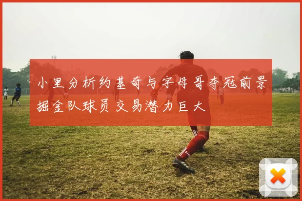 小里分析约基奇与字母哥夺冠前景掘金队球员交易潜力巨大