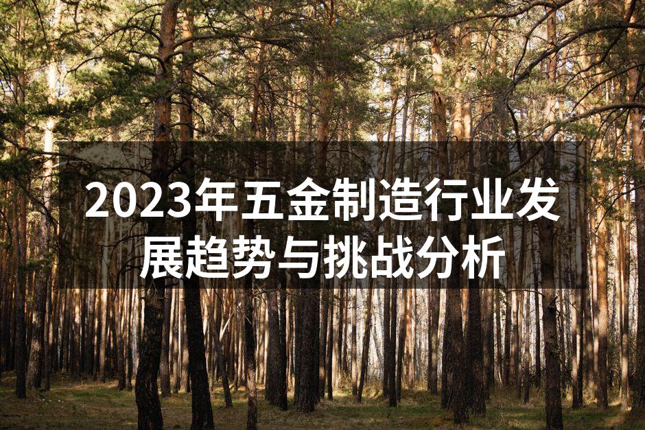 2023年五金制造行业发展趋势与挑战分析